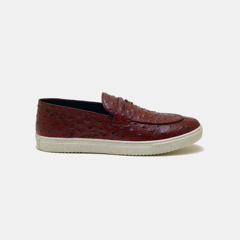 The Cactus Sneakers Maroon.